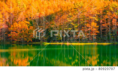 御射鹿池（秋） 80920707