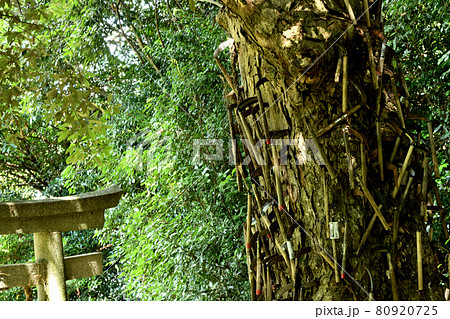 鎌八幡宮(丹生酒殿神社)　【和歌山県伊都郡かつらぎ町三谷】 80920725