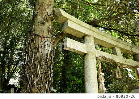 鎌八幡宮(丹生酒殿神社)　【和歌山県伊都郡かつらぎ町三谷】 80920726