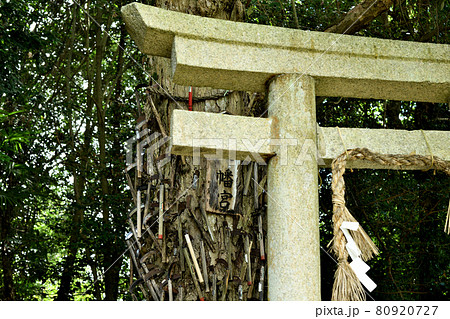 鎌八幡宮(丹生酒殿神社) 【和歌山県伊都郡かつらぎ町三谷】 鎌八幡宮(丹生酒殿神社) 【和歌山県伊都郡かつらぎ町三谷】 80920727