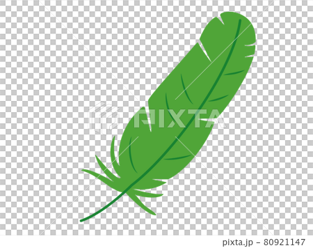 緑の羽根のイラストのイラスト素材 [80921147] - PIXTA