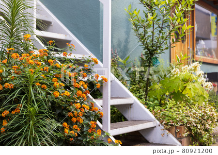 白い階段の脇に咲くランタナと小さなお店のショーウィンドウ 80921200