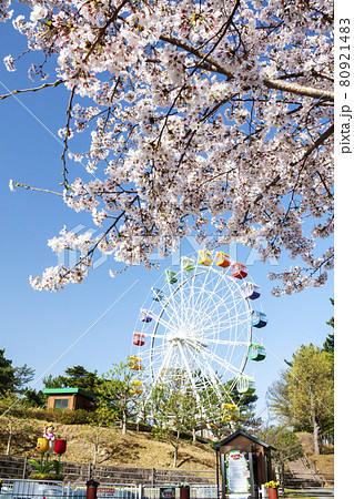 岡崎南公園 春の遊園地エリア 岡崎南公園 春の遊園地エリア 80921483