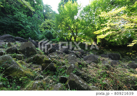 鍋倉渓 【奈良県山辺郡山添村】 鍋倉渓 【奈良県山辺郡山添村】 80921639