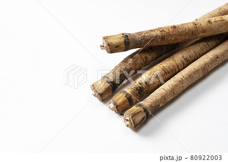 洗いゴボウ 80922003