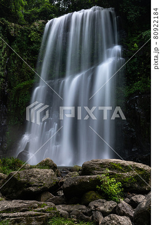 桜滝 桜滝 80922184