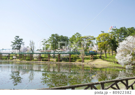 岡崎南公園　春の遊園地エリア（こども汽車、ゆめポッポ） 80922382