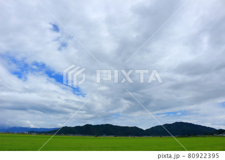 湖東の田園風景 湖東の田園風景 80922395