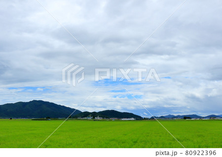 湖東の田園風景 80922396