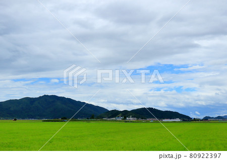 湖東の田園風景 80922397