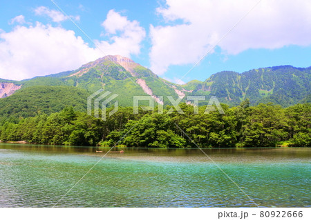 北アルプス上高地の梓川コース（大正池付近） 80922666