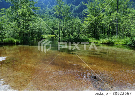 上高地の田代池（北アルプス） 80922667