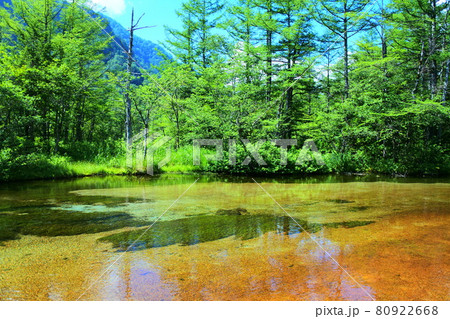 上高地の田代池(北アルプス) 上高地の田代池(北アルプス) 80922668