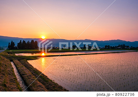 初夏の田園風景(夕暮れ) 初夏の田園風景(夕暮れ) 80922736