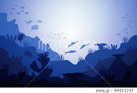 Wildlife Fish Sea Animals Coral Ocean Underwater Aquatic Illustration Wildlife Fish Sea Animals Coral Ocean Underwater Aquatic Illustration 80923247