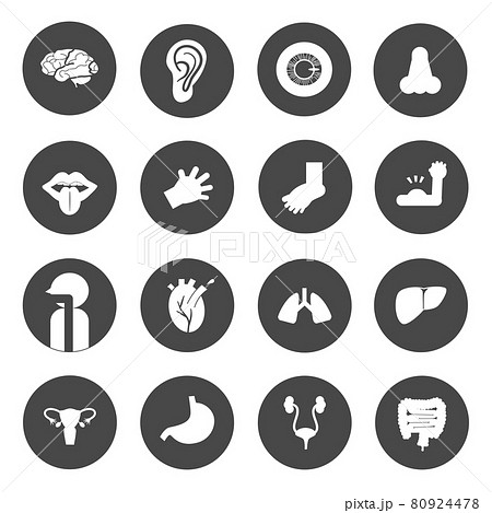 Human body built-in pictogram BLACK circle frame 80924478