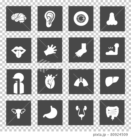 Human body built-in pictogram BLACKsquareframe 80924509