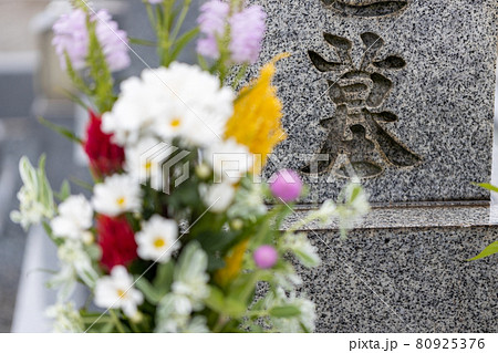 きれいなお花がお供えしてあるお墓の写真素材
