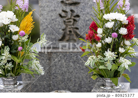 きれいなお花がお供えしてあるお墓の写真素材