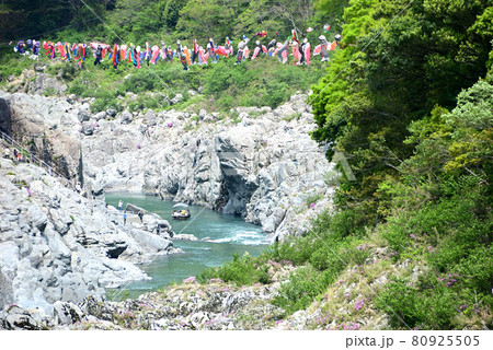 大歩危峡のこいのぼりと渓流くだり 大歩危峡のこいのぼりと渓流くだり 80925505