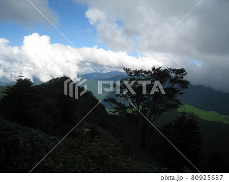 日本百名山、石鎚山　天狗岳（愛媛県西条市） 80925637