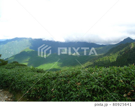 日本百名山、石鎚山 天狗岳(愛媛県西条市) 日本百名山、石鎚山 天狗岳(愛媛県西条市) 80925641
