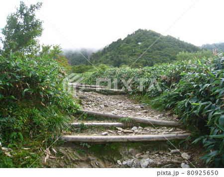 日本百名山、石鎚山　天狗岳（愛媛県西条市） 80925650