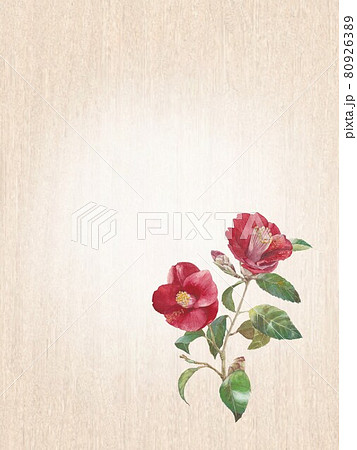 右下に山茶花の花のイラストがある絵葉書 80926389