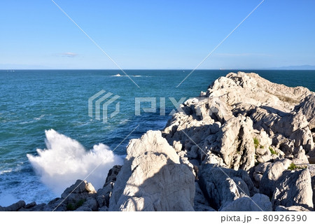 白崎海洋公園の夏 白崎海洋公園の夏 80926390