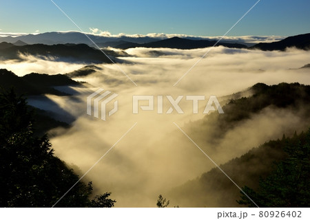 野迫川村の雲海 野迫川村の雲海 80926402