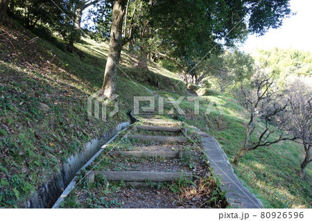山道階段 80926596