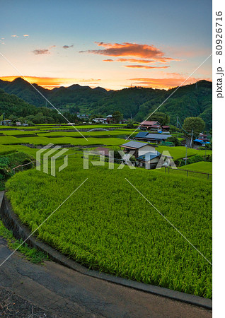 夕暮れの富岡の棚田 夕暮れの富岡の棚田 80926716