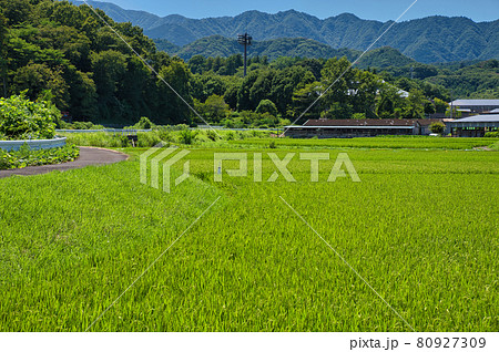 中荻野の田園風景 中荻野の田園風景 80927309