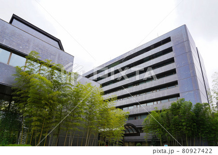 所沢市役所 所沢市役所 80927422