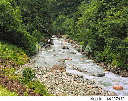 夏の糸魚川市小滝川ヒスイ峡 夏の糸魚川市小滝川ヒスイ峡 80927932