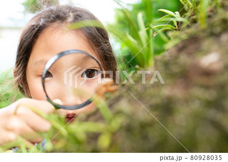 セミの抜け殻を虫眼鏡で観察する少女 80928035