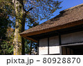 世田谷代官屋敷　大場代官屋敷 80928870