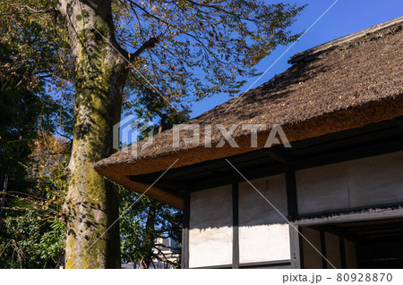 世田谷代官屋敷　大場代官屋敷 80928870