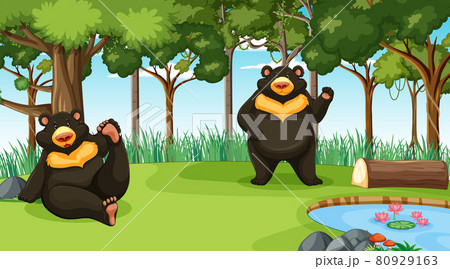 Asian black bear or moon bear in forest or rainforest scene with many trees 80929163