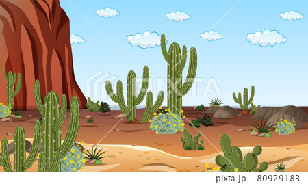 Desert forest landscape at daytime scene with many cactuses 80929183