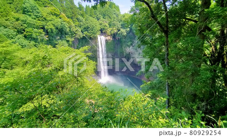 滝と森 80929254