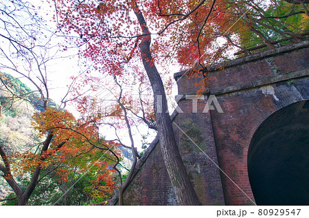 愛知県春日井市：紅葉の愛岐トンネル（4号トンネル） 80929547