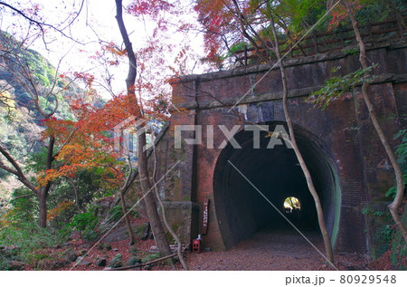 愛知県春日井市:紅葉の愛岐トンネル(4号トンネル) 愛知県春日井市:紅葉の愛岐トンネル(4号トンネル) 80929548