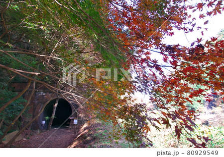 愛知県春日井市:紅葉の愛岐トンネル(4号トンネル) 愛知県春日井市:紅葉の愛岐トンネル(4号トンネル) 80929549