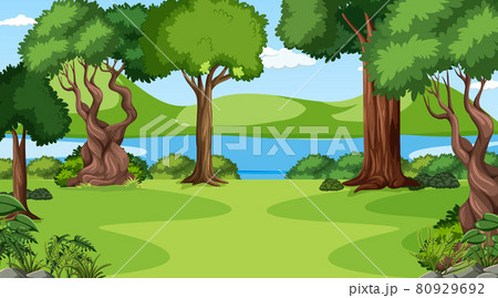 Blank forest at daytime scene with various forest trees Blank forest at daytime scene with various forest trees 80929692