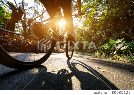 Woman cycling on bike path at park on sunny day Woman cycling on bike path at park on sunny day 80930125