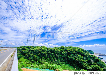 神奈川県三浦半島の景色 神奈川県三浦半島の景色 80930228