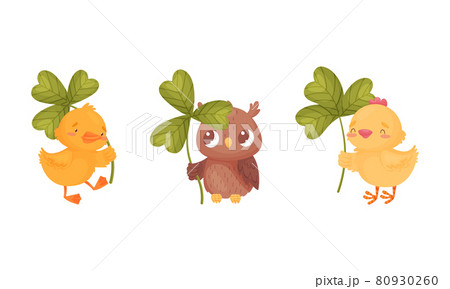 Cute baby animals with three leaf clover set. Adorable chickens, owlet holding shamrock leaves cartoon vector illustration 80930260
