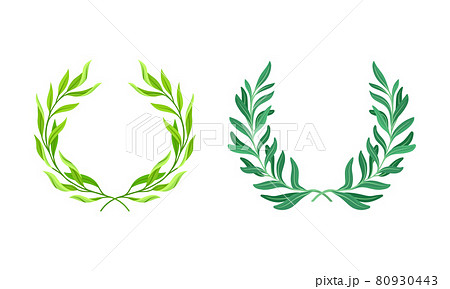 Floral wreath made of green leaves set. Invitation, greeting card, banner, frame design cartoon vector illustration 80930443