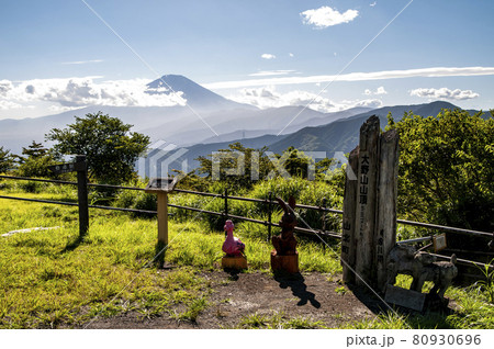 夏の大野山 山頂からの眺望 夏の大野山 山頂からの眺望 80930696